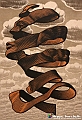 VBS_4993 - Mostra Escher